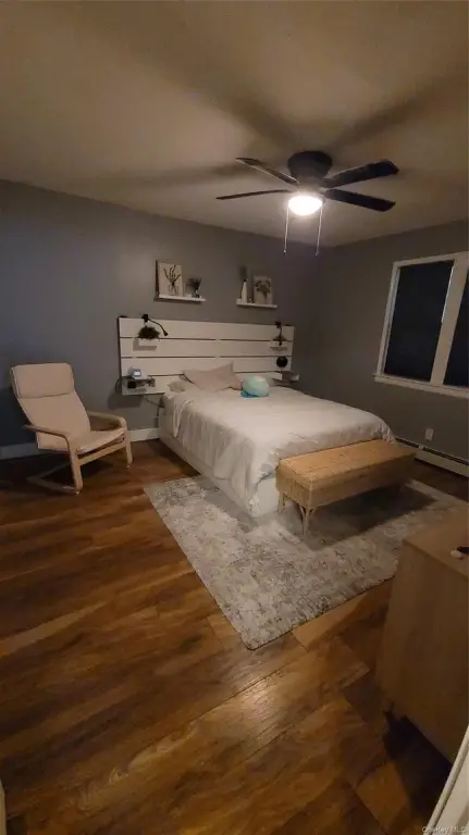 Picture 5