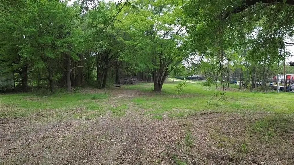 Picture 17