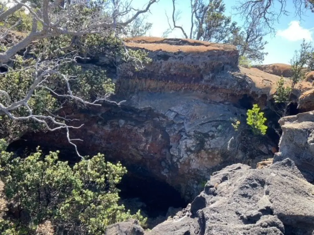 Picture 2