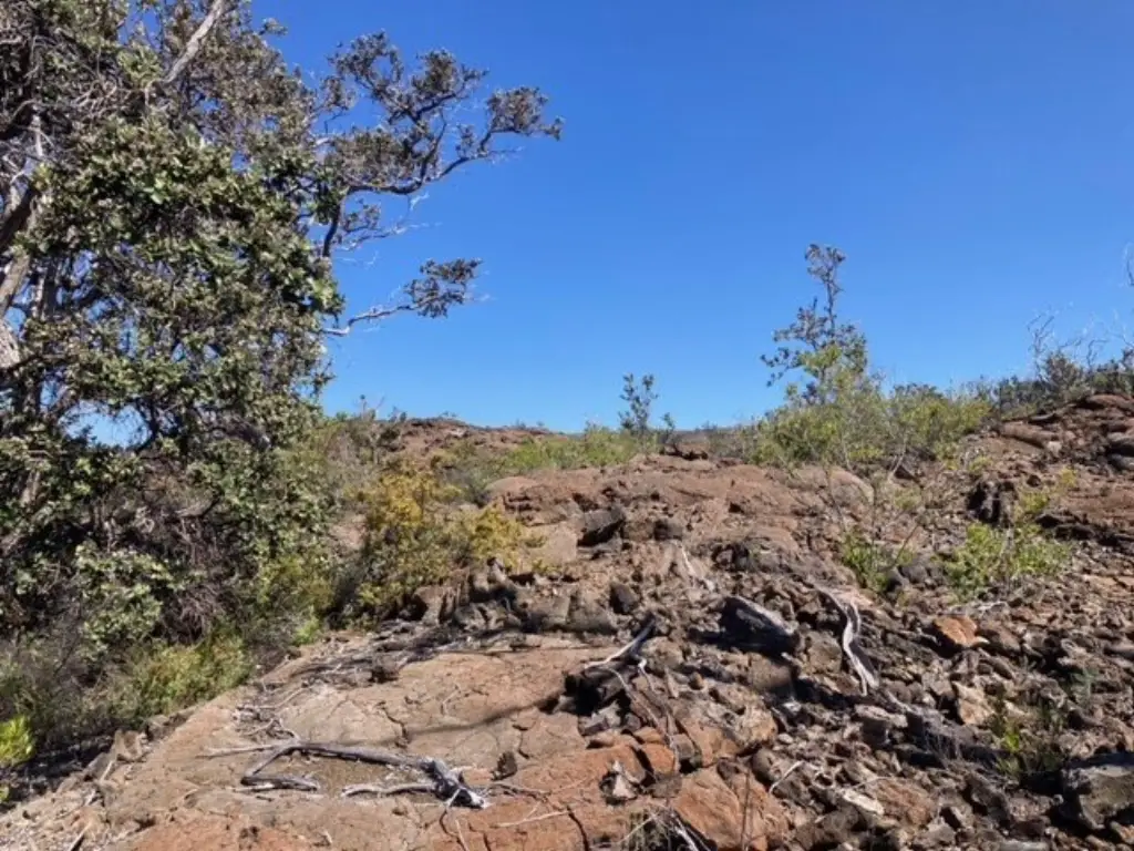 Picture 9