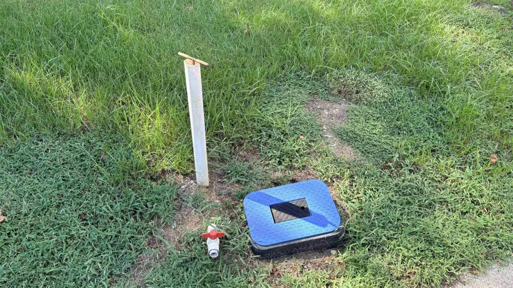 Picture 15