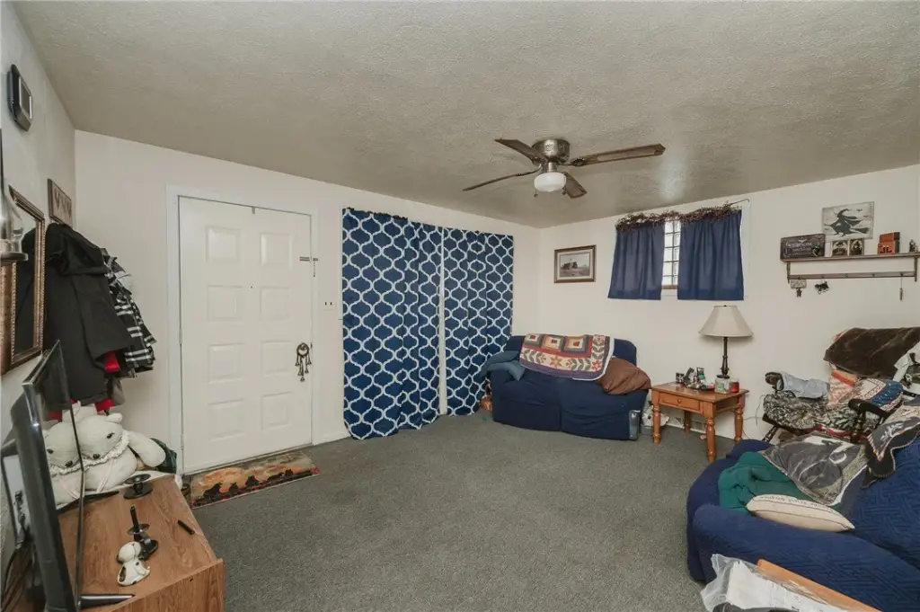 Picture 5