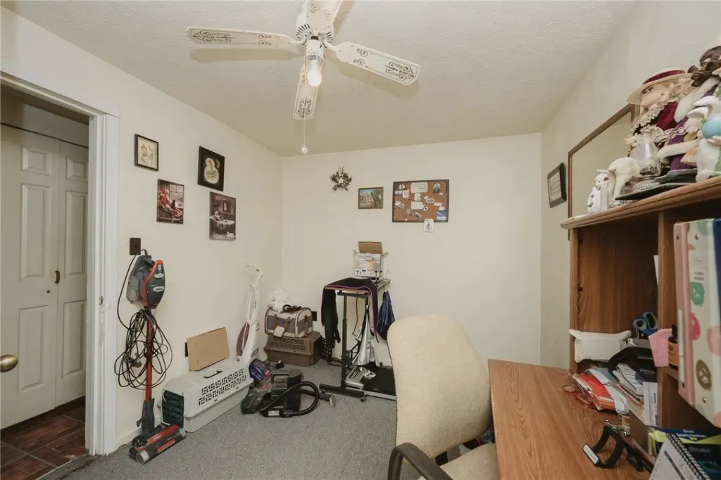 Picture 11