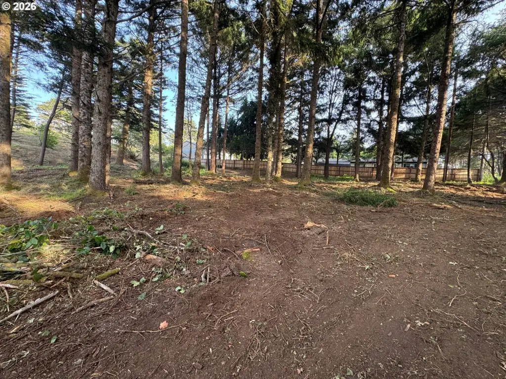 Picture 11