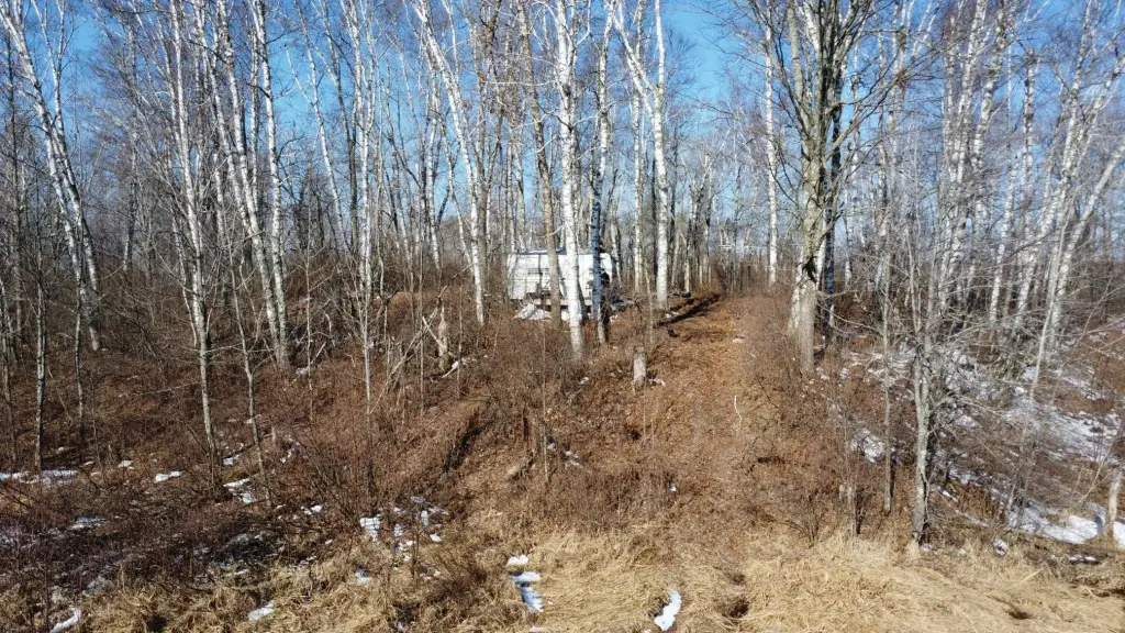 Picture 6