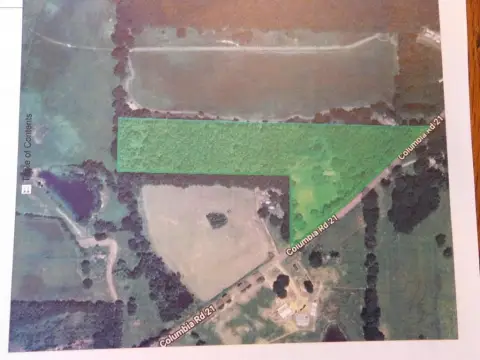 Land with Mature Pecan Trees