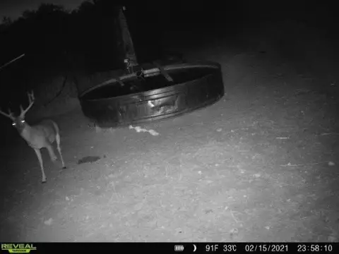 Mills County Ranch Opportunity