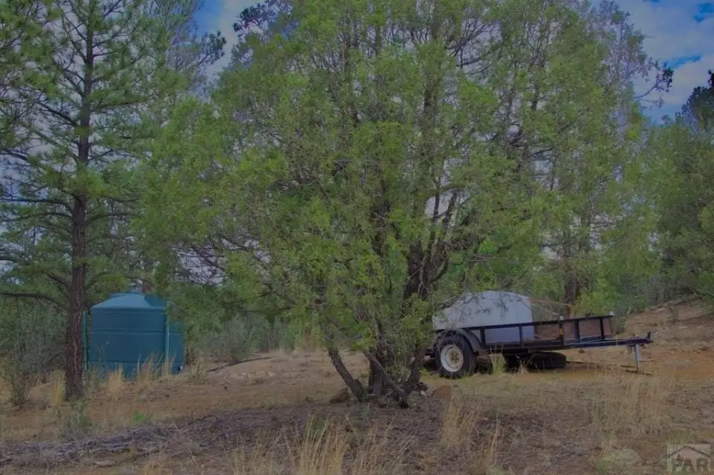 Picture 11