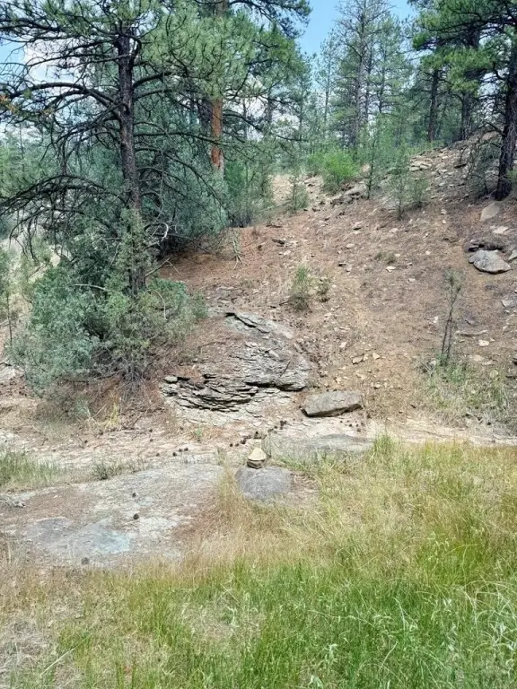 Picture 9
