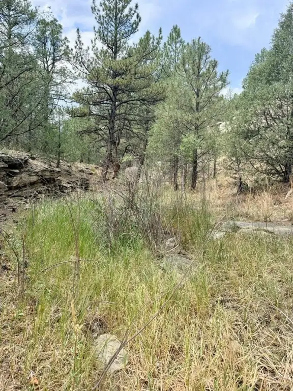 Picture 6