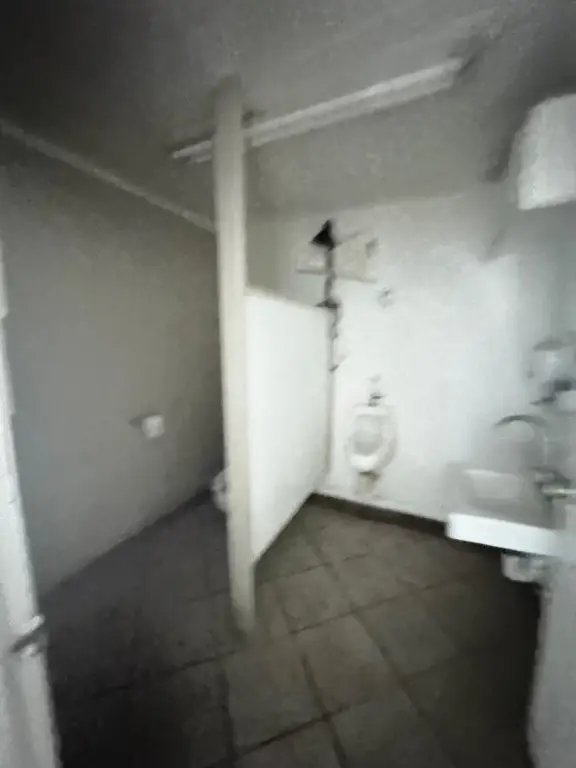 Picture 49