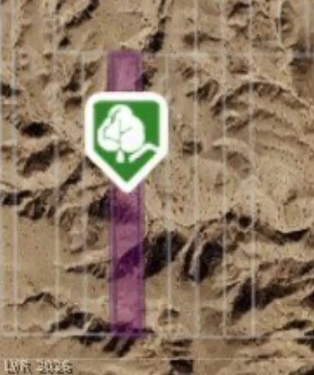 Picture 2