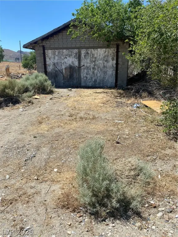 Picture 5