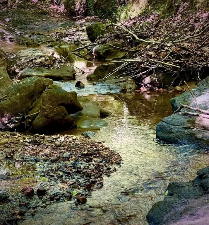 Picture 7