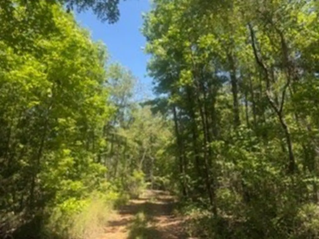 Picture 3