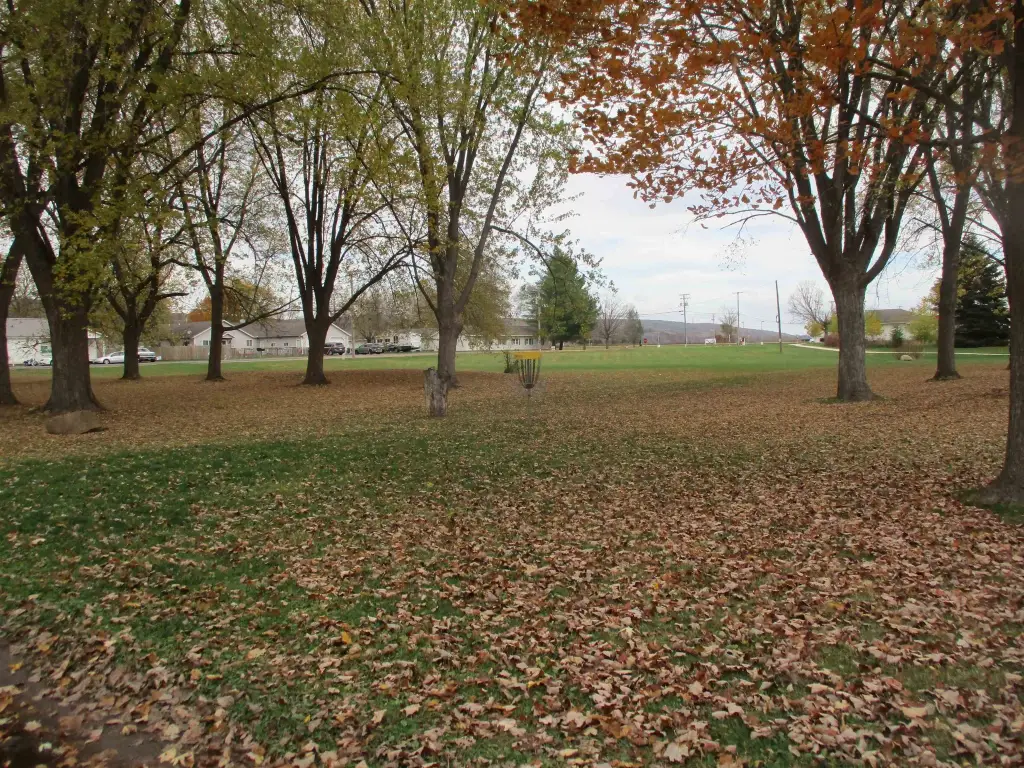 Picture 8