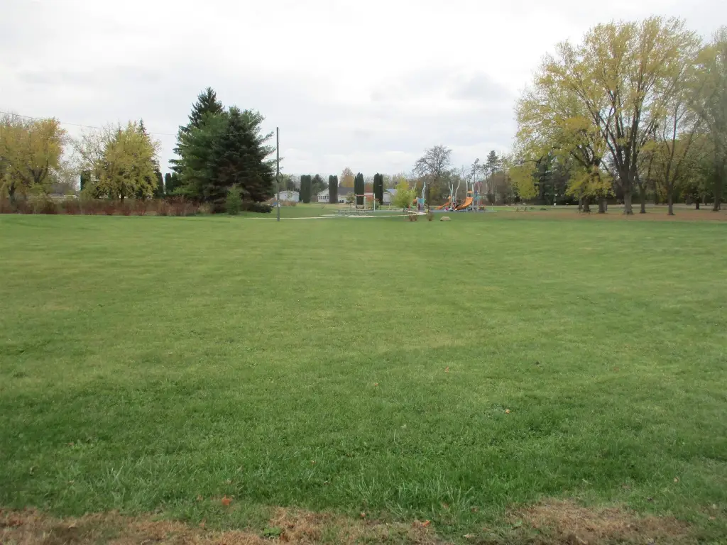Picture 9