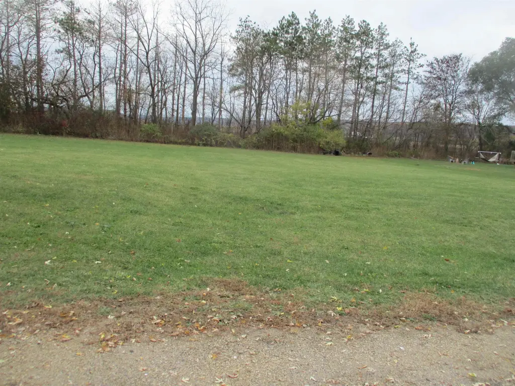 Picture 4