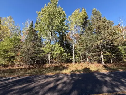 Wooded Land with Trail Access