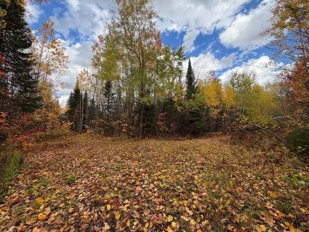 Picture 8