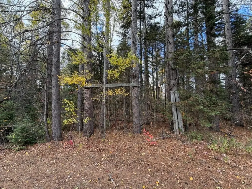 Picture 29