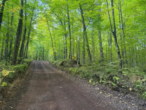 Aspen Hunting Land