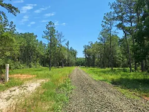 Wooded Land Tract in Buna