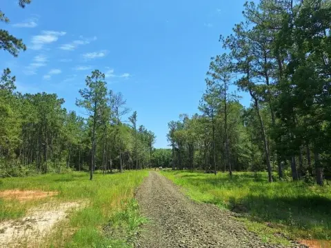 Wooded Land Tract in Buna, TX