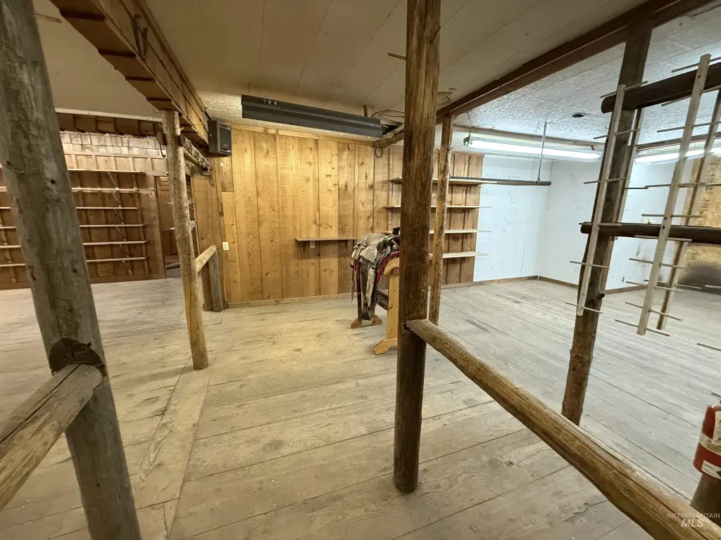 Picture 5