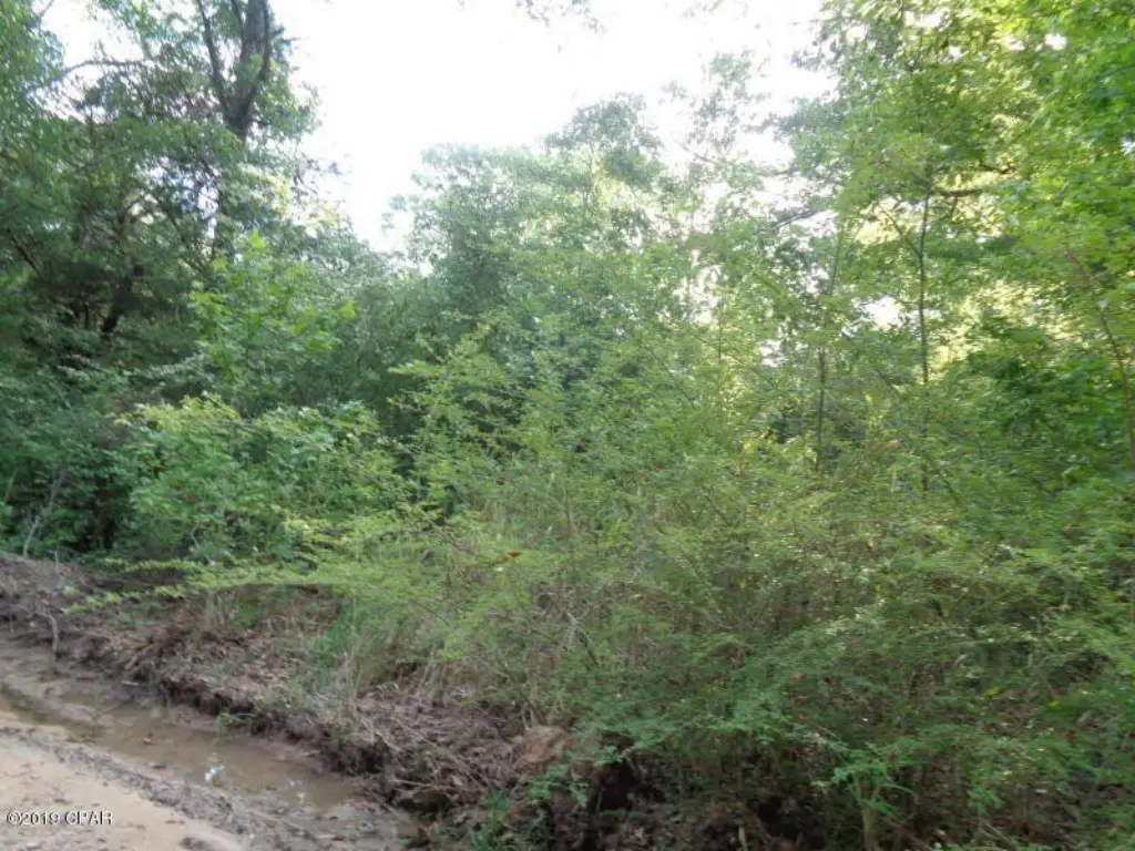 Picture 7