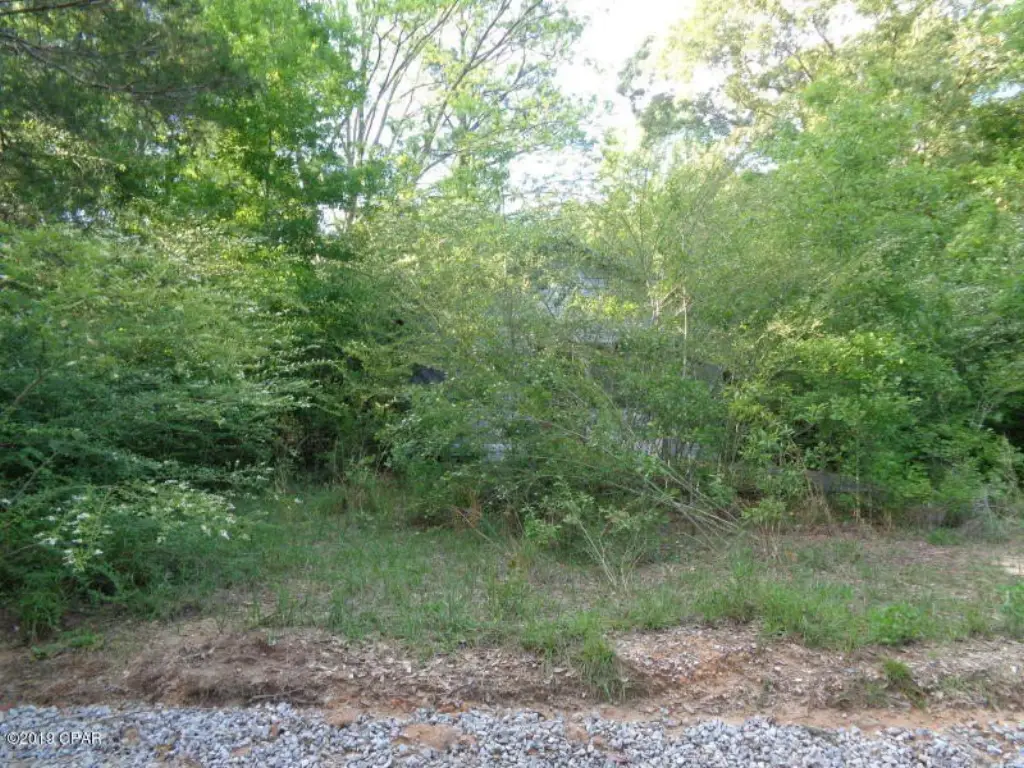 Picture 2