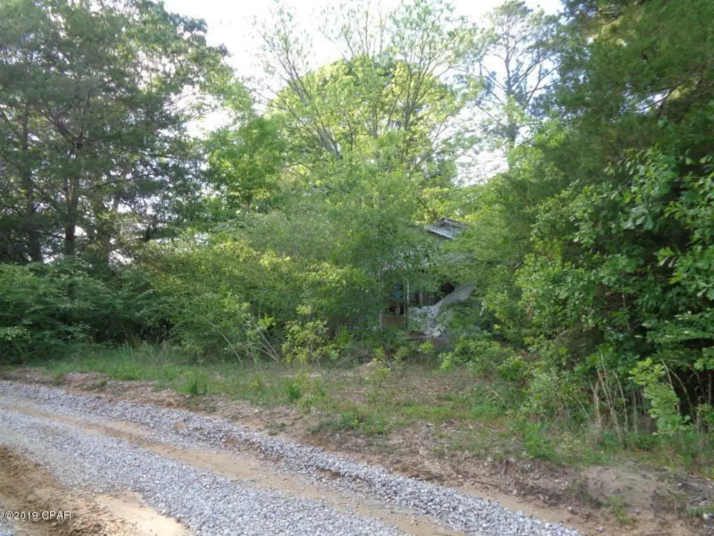 Picture 3