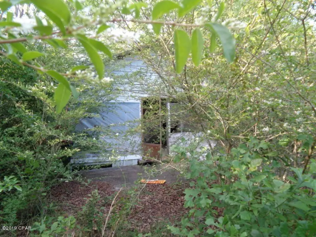 Picture 4