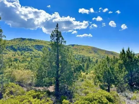 10 Acres Near National Parks