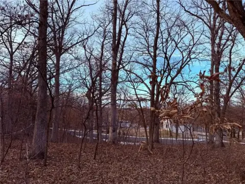 Lake Viking Treed Oasis