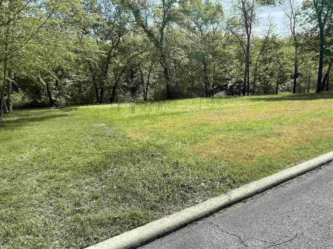 Picture of Residential land & home lots at Brighton Pointe Ln 17, Heber Springs, AR