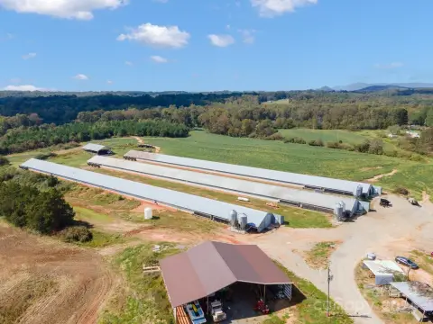 74 Acres Farmland with Income