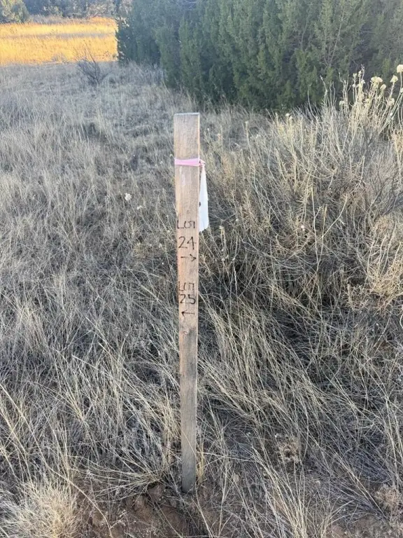 Picture 18