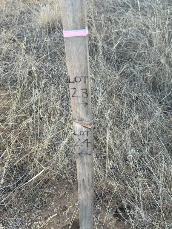 Picture 17