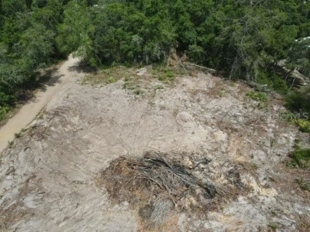 Picture 3