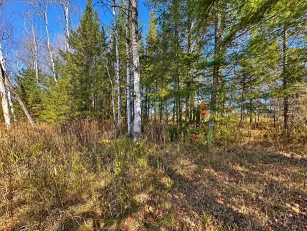 Picture 15