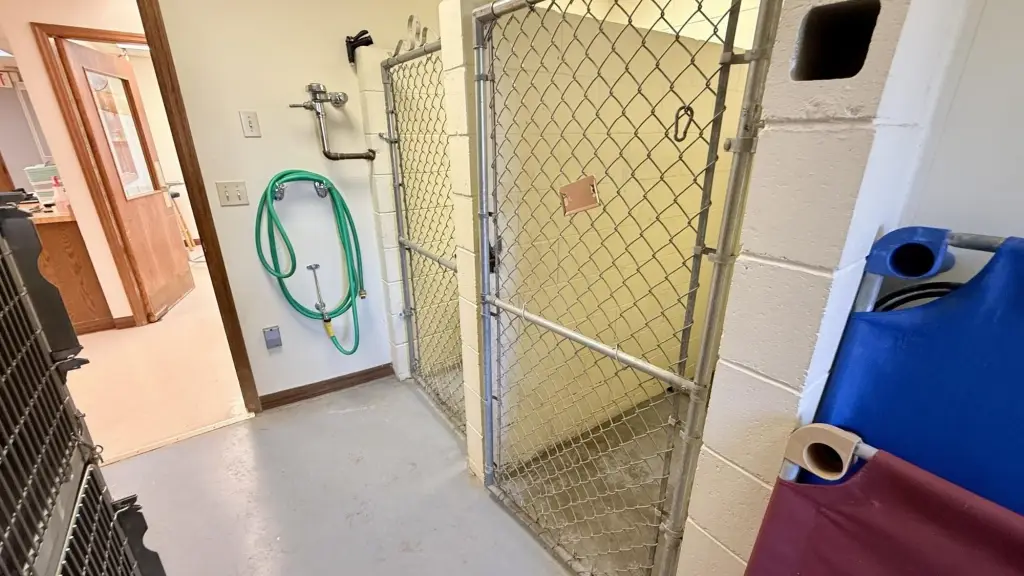 Picture 25