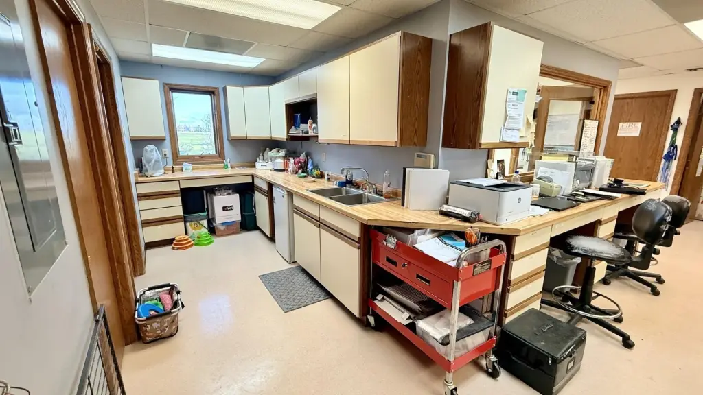 Picture 21
