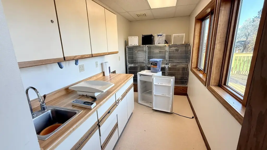 Picture 22