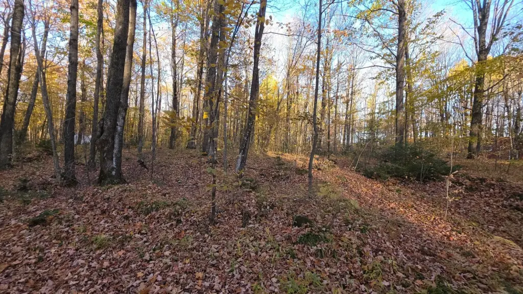 Picture 8