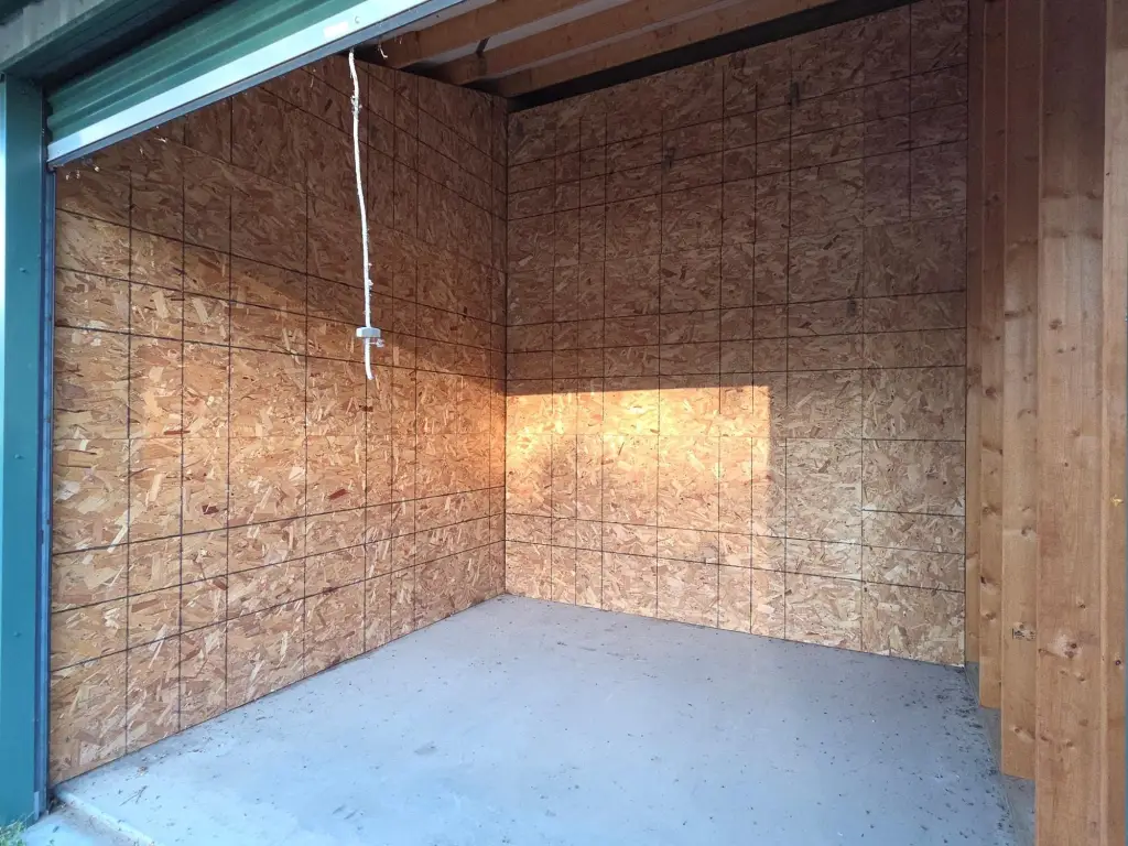 Picture 5