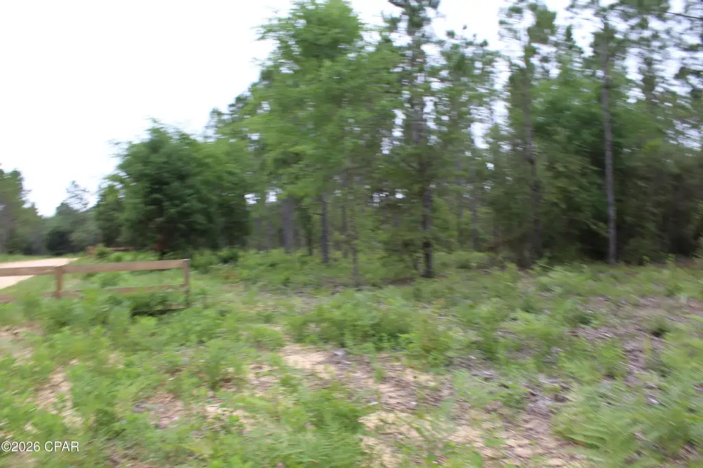 Picture 8