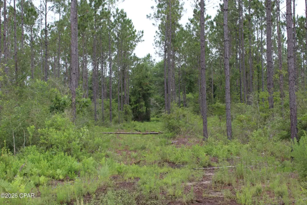 Picture 11