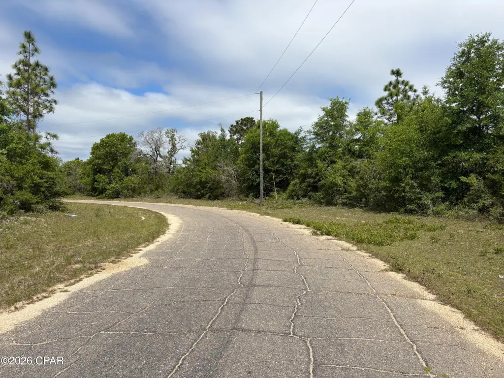 Picture 6