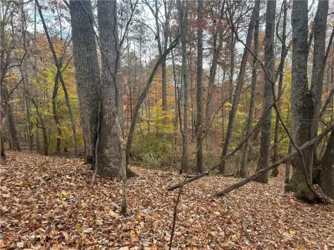 6 Acre Cherokee County Land